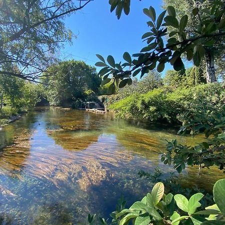 Gite L'Odonate, Partage Des Eaux LʼIsle-sur-la-Sorgue Exteriér fotografie