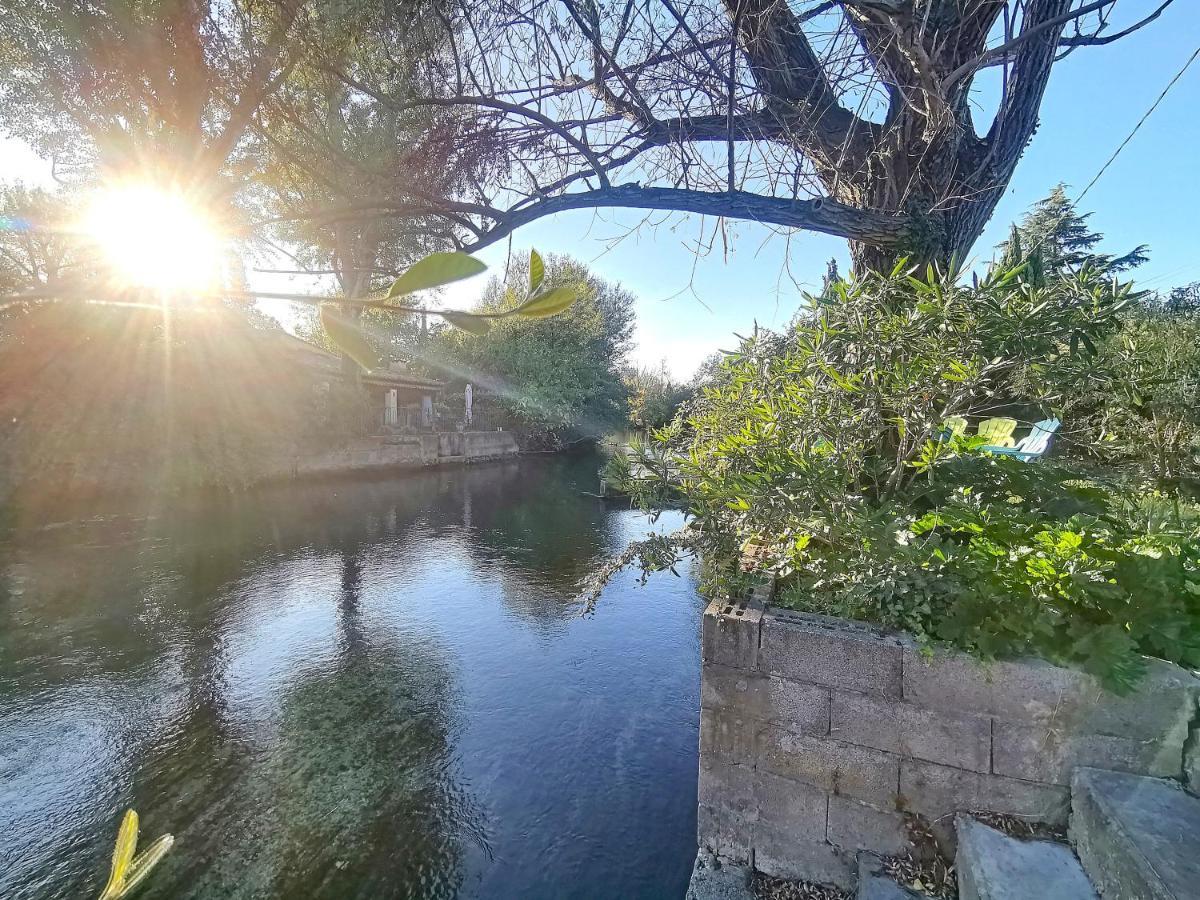 Gite L'Odonate, Partage Des Eaux LʼIsle-sur-la-Sorgue Exteriér fotografie