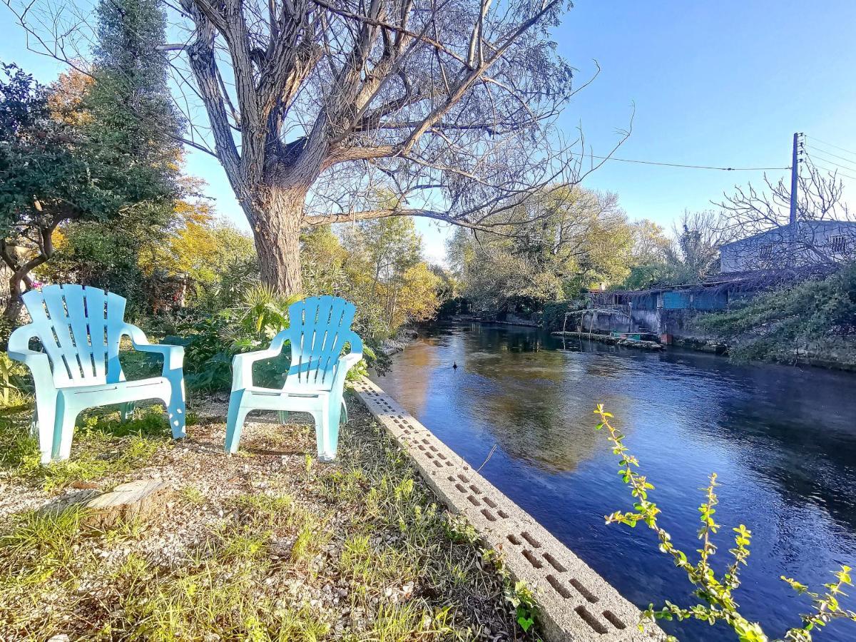Gite L'Odonate, Partage Des Eaux LʼIsle-sur-la-Sorgue Exteriér fotografie